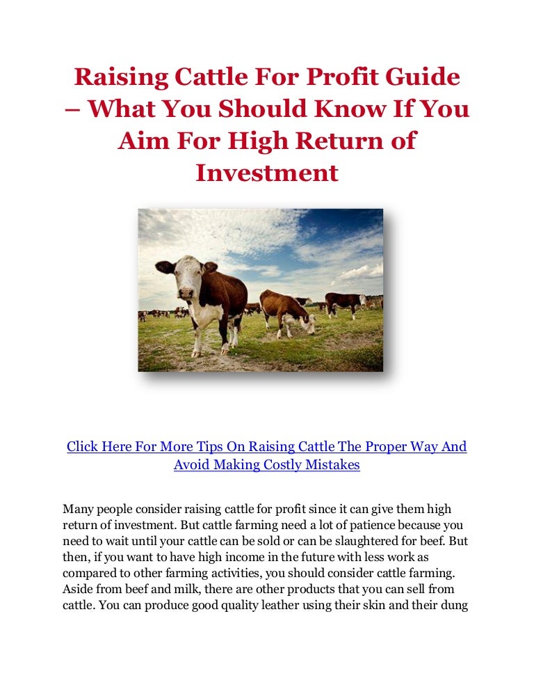 Raising Cattle For Profit Guide What You Should Know If You Aim For…