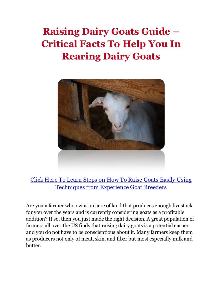 Raising Dairy Goats Guide Critical Facts To Help You In Rearing Dai…