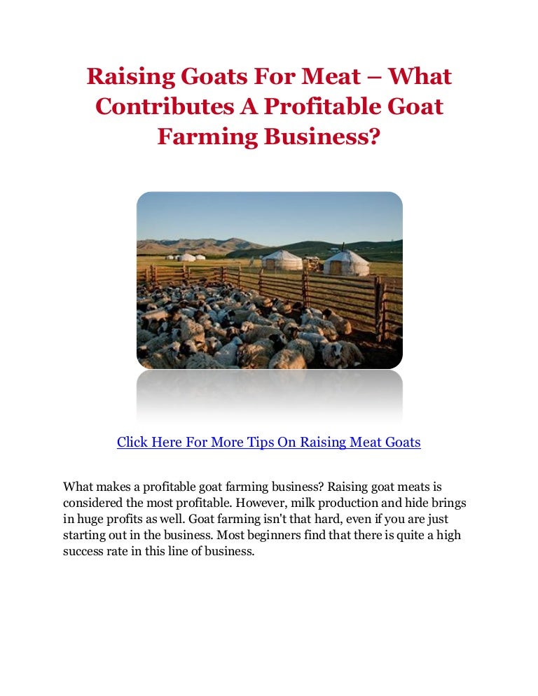Raising Goats For Meat What Contributes A Profitable Goat Farming B…