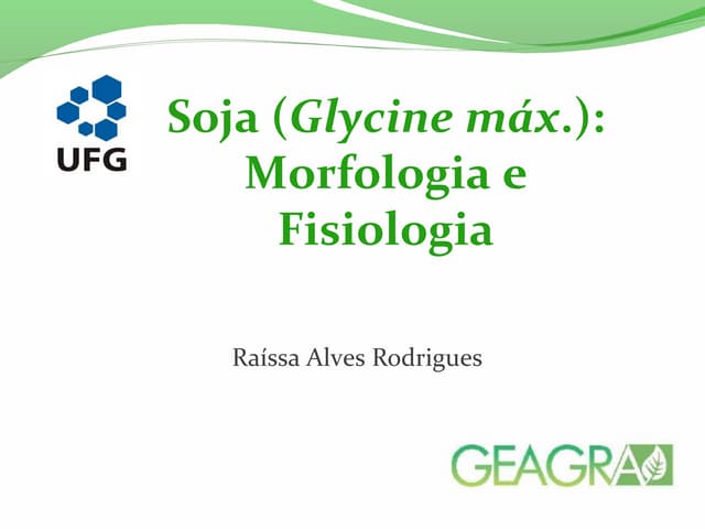MORFOLOGIA E FENOLOGIA DA CULTURA DA SOJA