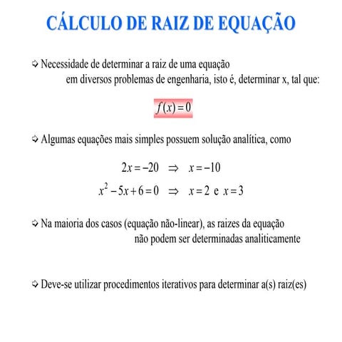 Raiz | PDF