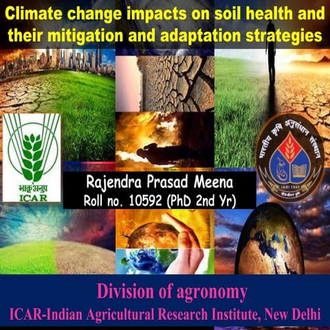 Climate change impacts on soil health and their mitigation and adaptation str...
