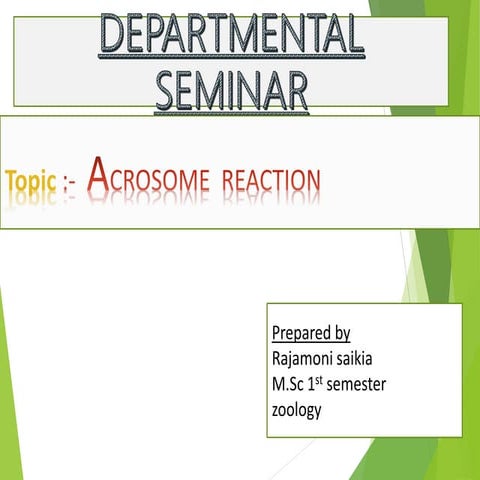acrosome reaction