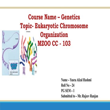 Rajeev Sir seminar ppt.pptx.............