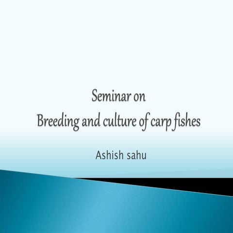 BREEDING AND CULTURE OF CARPS FISHES