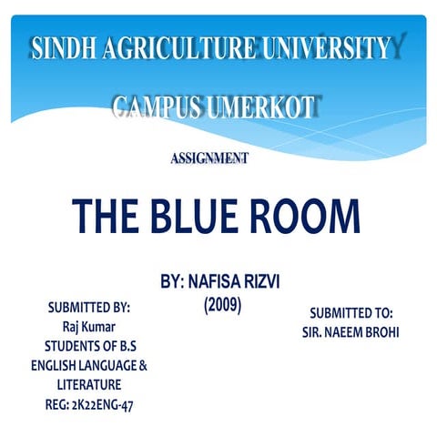 The Blu Room By NAFISA RIZVI 2009 Raj Kumar | PDF
