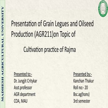 Rajma presentation | PPTX