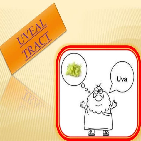 UVEAL TRACT