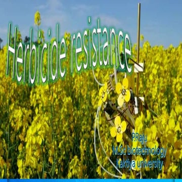 herbicide resistance in plants