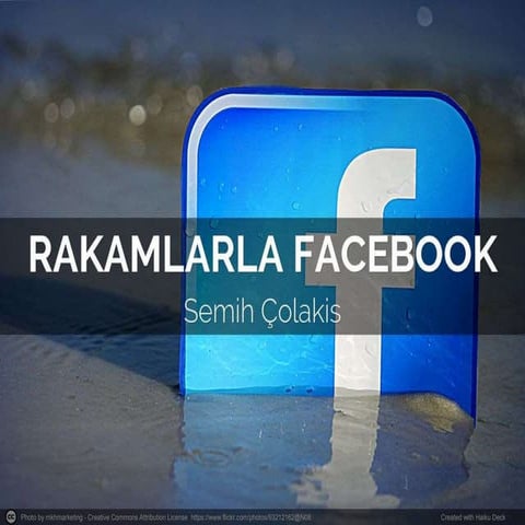 Rakamlarla Facebook(2015)