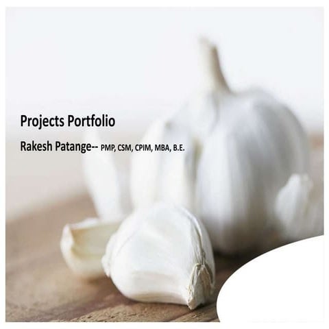 Rakesh Patange -IT Business Projects Portfolio