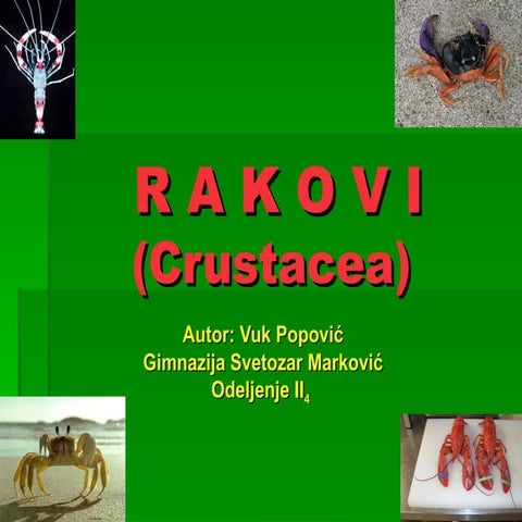 Rakovi- Vuk Popović- Marija Cvetković | PPT