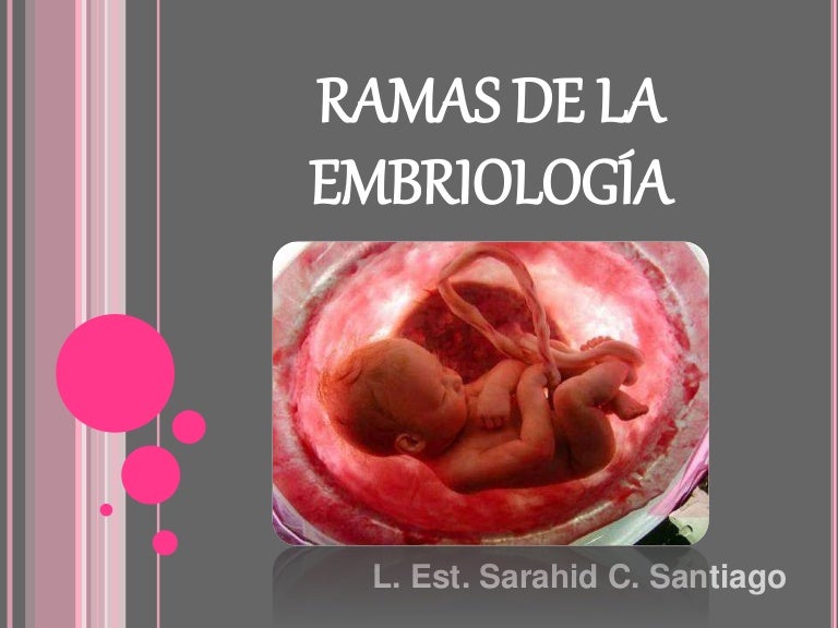 Ramas de la embriología