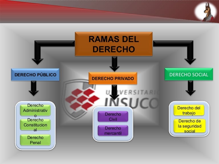 Ramas del derecho 4 Ramas del derecho 4