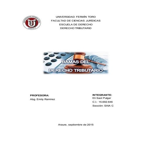 Ramas del Derecho Tributario