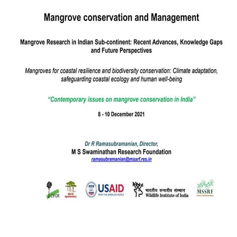 Mangrove conservation and management