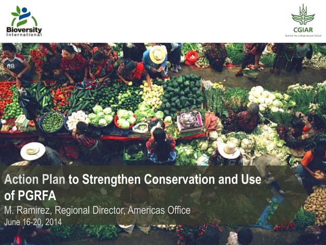 The strategic action plan to streng...
