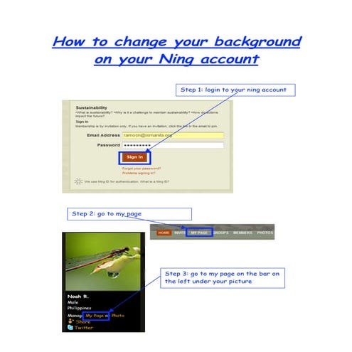 Ramos. Noah. How To Change Ning Background(3)