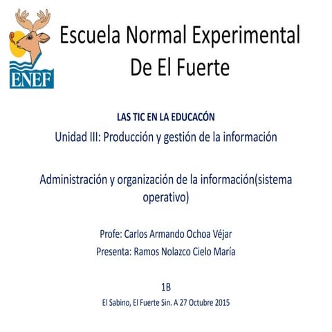 administración y organización  