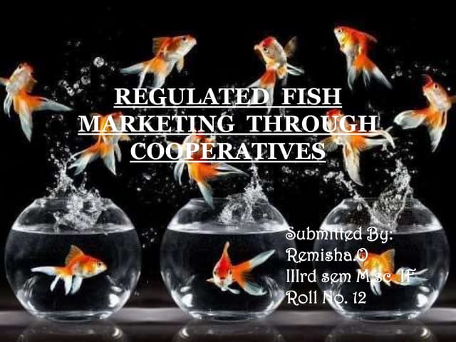 REGULATION  OF FISH MARKETING THROUGH COOPERATIVES