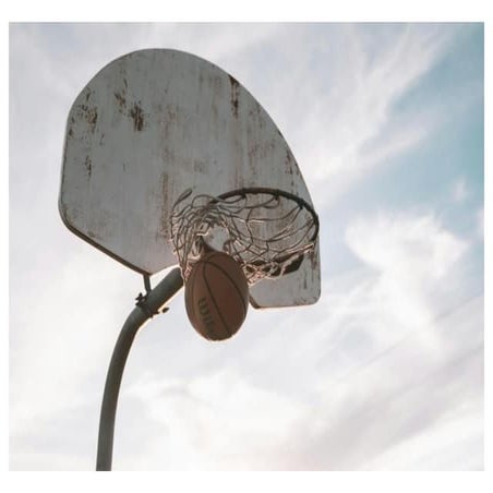 Select the Right Equipment: Choose a camera with fast autofocus and a ...