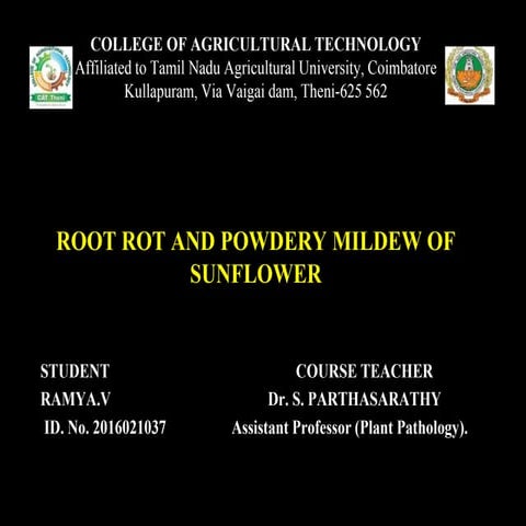 ROOT ROT AND POWDERY MILDEW OF SUNFLOWER