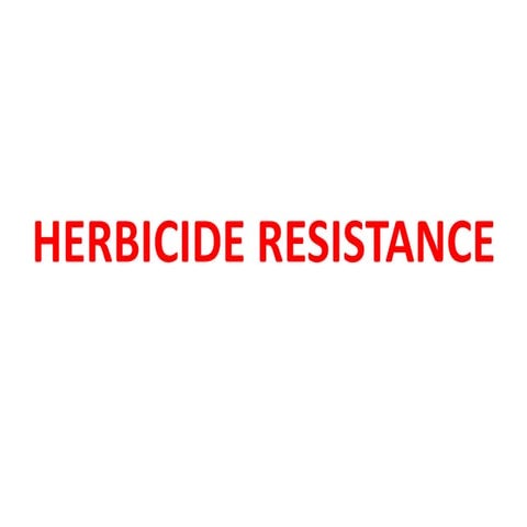 Herbicide resistance