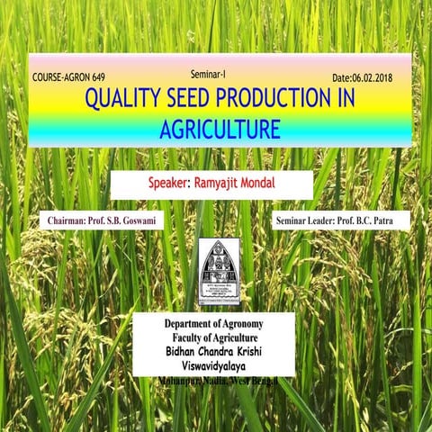 Quality Seed Production in Agriculture