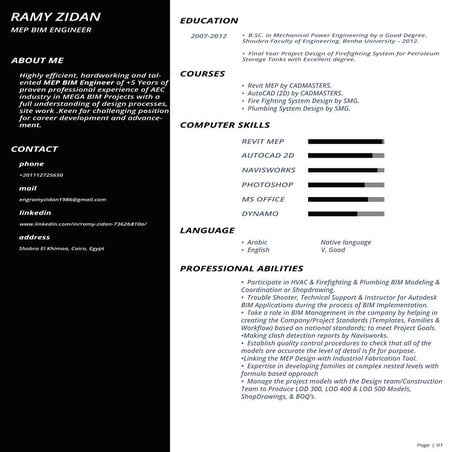 MEP BIM ENGINEER-RAMYZIDAN