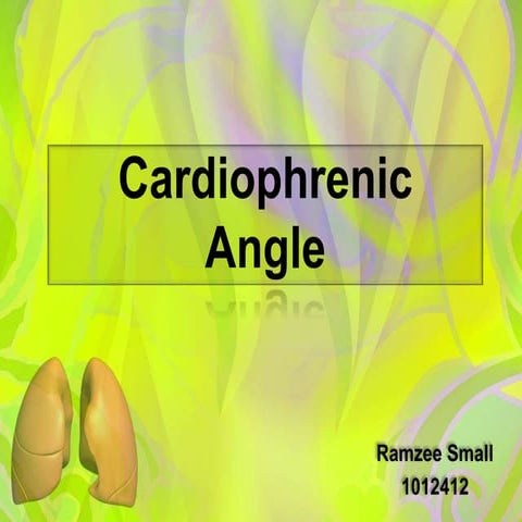 Cross section anatomy of thorax (1) | PPTX