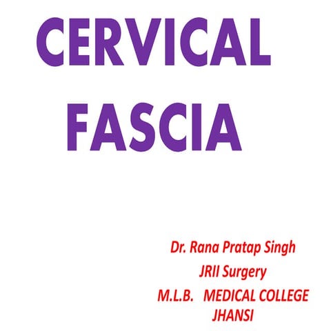 cervical fascia