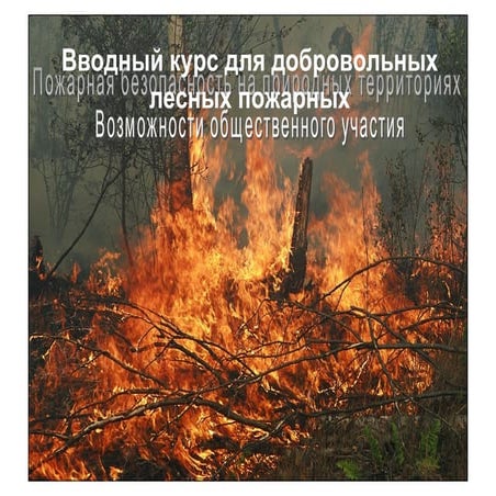 forestfire_course