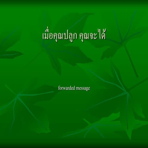 เมื่อคุณปลูกอะไรก็จะได้อย่างนั้น