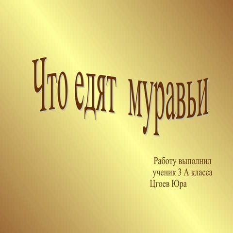 что едят муравьи | PPT