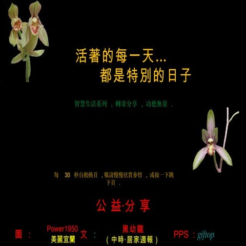 活著的每一天…