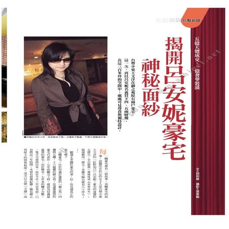王文洋 呂安妮豪宅 | PDF