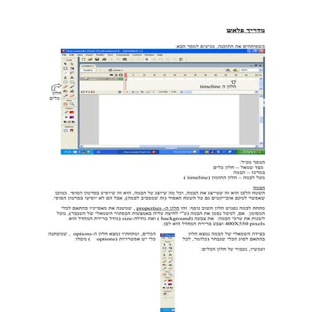 מדריך פלאש בפידיאף