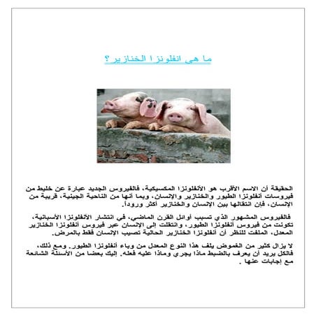 تقرير كامل بحث عن انفلونزا الخنازير بالصور و الوقاية منها