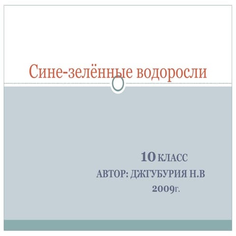 сине зелённые бактерии