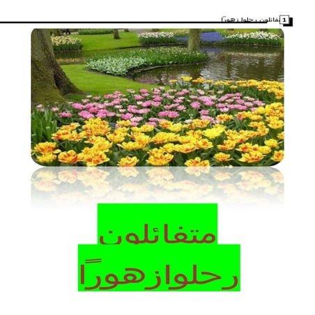 متفائلون رحلوا زهورا