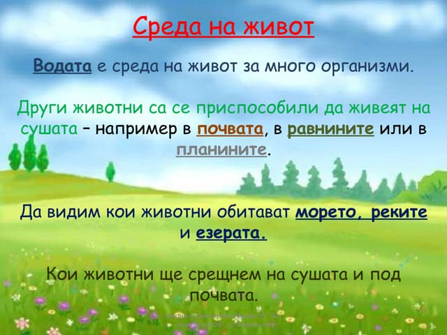 правила на класа