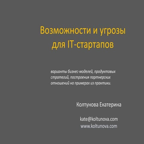 IT start-up opportunities and risk