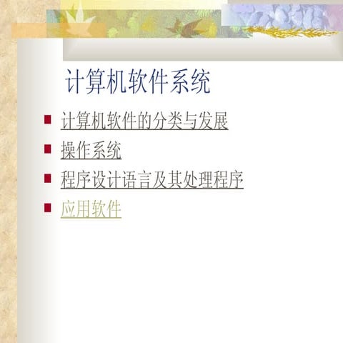 计算机软件系统