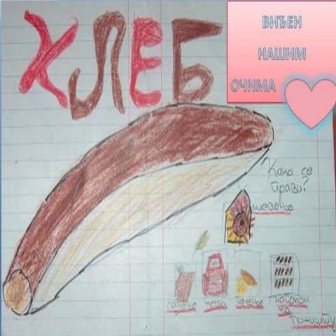 Хлеб виђен нашим_очима_ОШ Коста Абрашевић_Београд