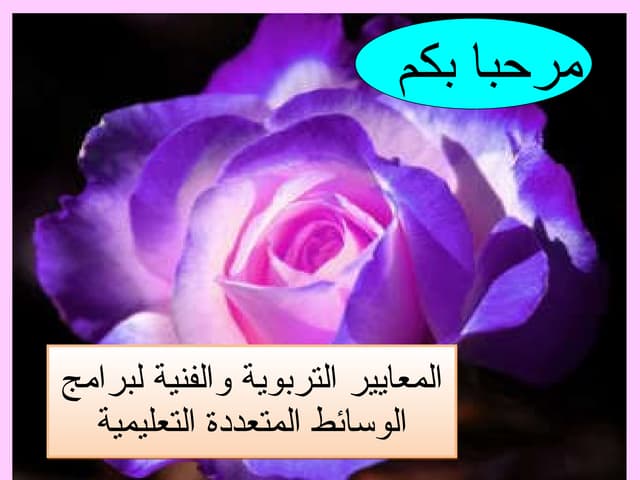 المعايير التربوية والفنية لبرامج الوسائط المتعددة التعليمية