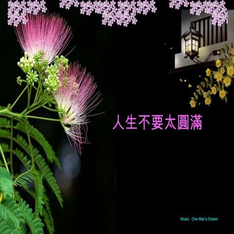 人生不要太圓滿