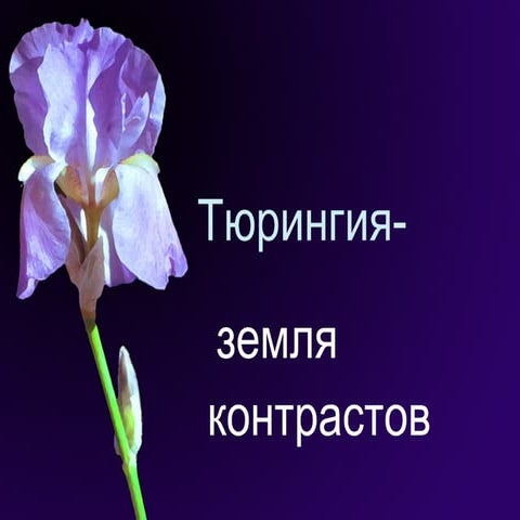 Тюрингия 
