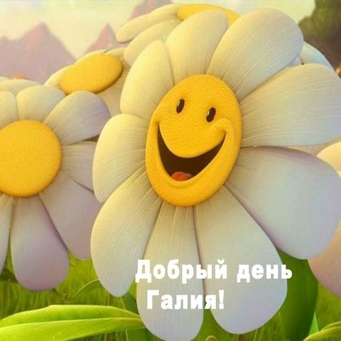добрый день!!!! | PPT