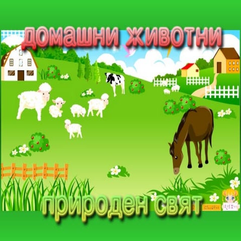 домашни животни