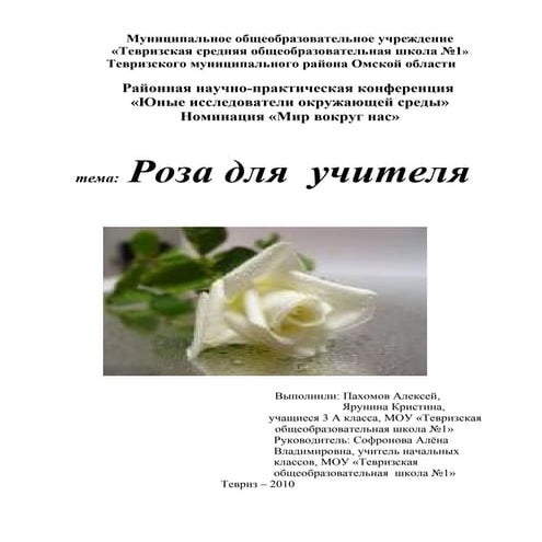 Роза для учителя